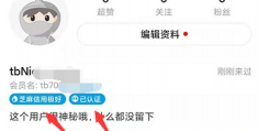 详解闲鱼出单技巧