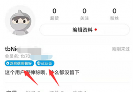 详解闲鱼出单技巧
