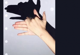 没几个人知道的另类短视频领域