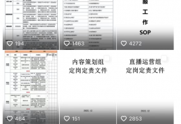 抖音卖直播资料项目