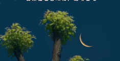 无人直播相声助眠详细课程