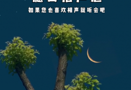 无人直播相声助眠详细课程