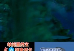 推广电话项目，适合新人小白保姆级教程分享