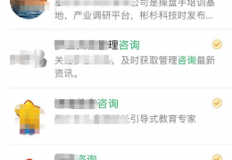 各种付费咨询项目，渠道众多变现轻松