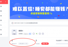 问卷调查类项目